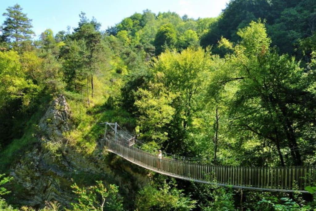 Апартаменты Chez Salome & Theo ! Saint-Jean-d'Arvey Экстерьер фото